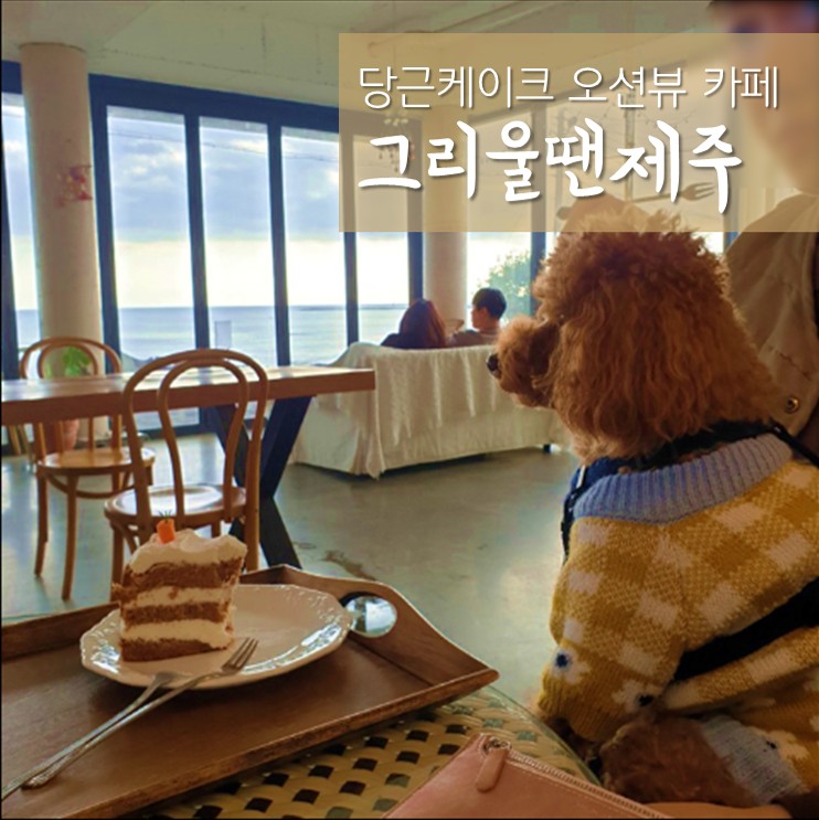  그리울땐제주 , 제주 남원 당근케이크 맛있는 애견동반 오션뷰카페