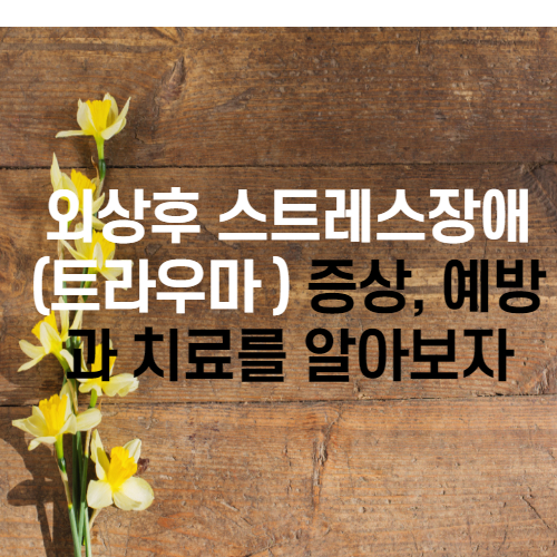  외상후 스트레스장애(트라우마 PTSD) 증상,예방과 치료를 알아보자
