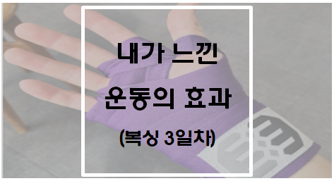  [운동] 내가 느낀 운동의 효과(복싱 3일차)