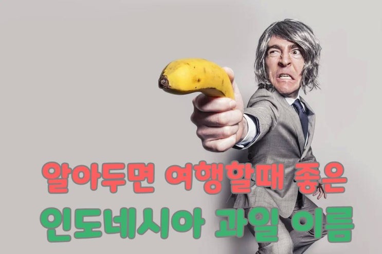  인도네시아 여행할때 알면 좋은 인도네시아 과일이름  10
