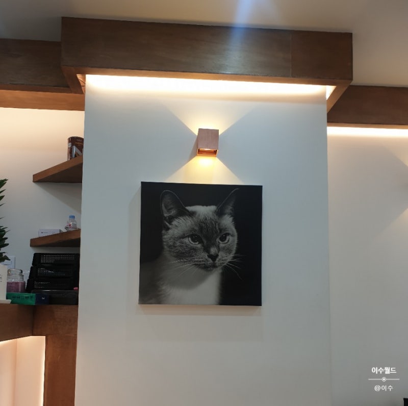 댕댕이사진관