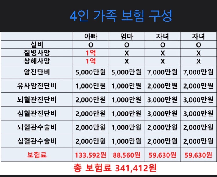 부담 대신 3인 가족 보험료 정리 1