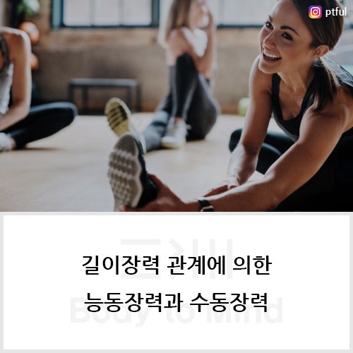  길이장력 관계에 의한 능동장력과 수동장력