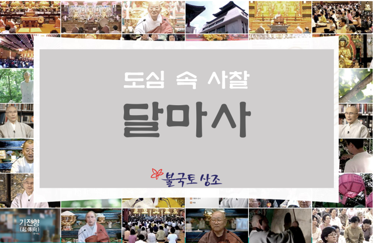  진리의 실천도량 달마사