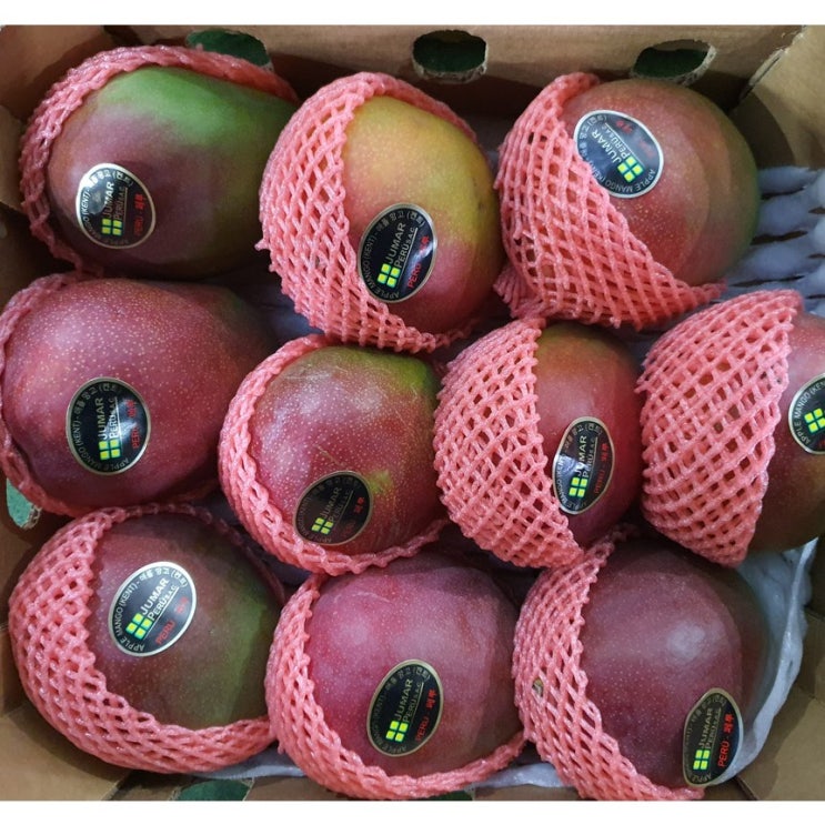 후기가 좋은 페루 고당도 애플망고 4kg 8-10수 선물용, 1개, 폐루산 애플망고(8-10수)4kg 추천해요 후기가 좋은 페루 고당도 애플망고 4kg 8-10수 선물용, 1개, 폐루산 애플망고(8-10수)4kg 추천해요