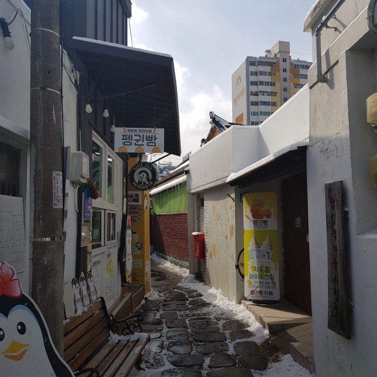  " 양림 펭귄 빵 소식 "