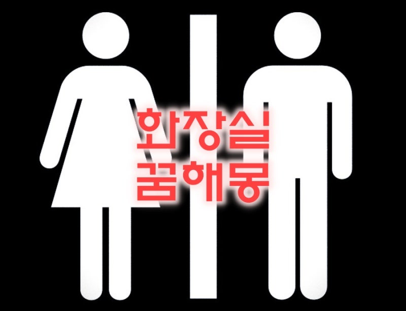 화장실꿈 더러운화장실꿈 재래식화장실꿈 공중화장실꿈 깨끗한화장실꿈 푸세식화장실꿈 꿈....