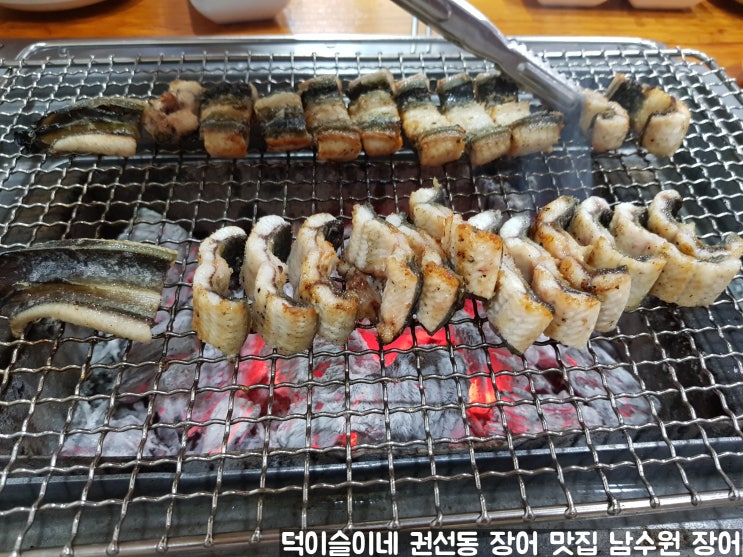 수원 권선동 장어 가성비 맛집 풍천 민물장어 직판장 남수원 장어 수원 권선동 장어 가성비 맛집 풍천 민물장어 직판장 남수원 장어
