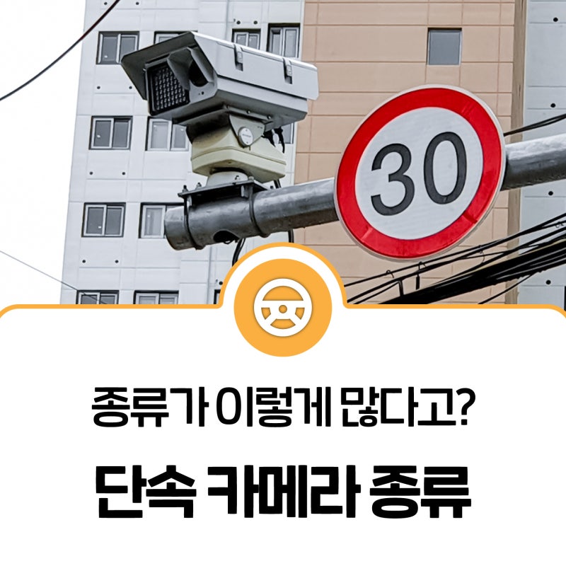 단속카메라 종류(과속단속카메라, 이동식 단속카메라, 구간단속카메라) : 네이버 블로그 단속카메라 종류(과속단속카메라, 이동식 단속카메라, 구간단속카메라) : 네이버 블로그