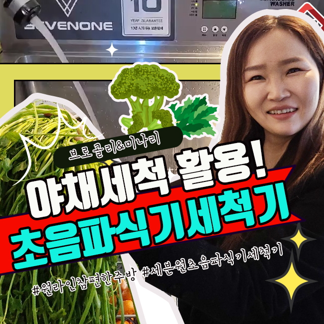 야채초음파세척기로 역할이 가능한 원라인참편한주방 만능 업소용초음파식기세척기