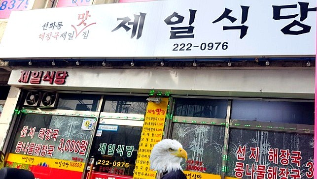 선화동 가성비 맛집 제일식당