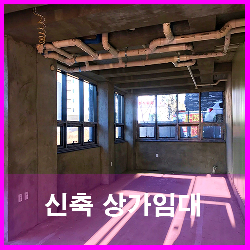  청주 동남지구상가 신축상가주택 시티프라디움 맞은편 1층상가