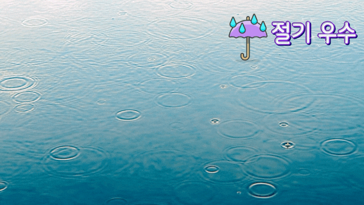 2021년 절기 우수 / 봄을 기다리며