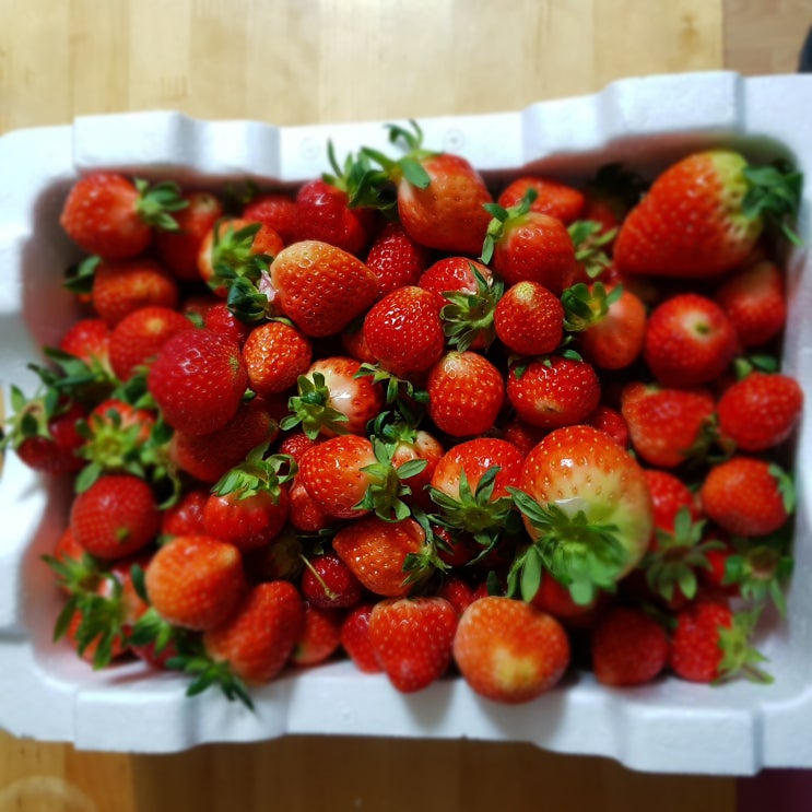  장호원 딸기 엄~~~청 맛있네요^^
