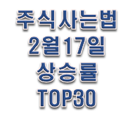  주식사는법 2월 17일 장마감시황