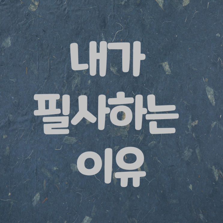  6개월간의 필사를 통한 배움