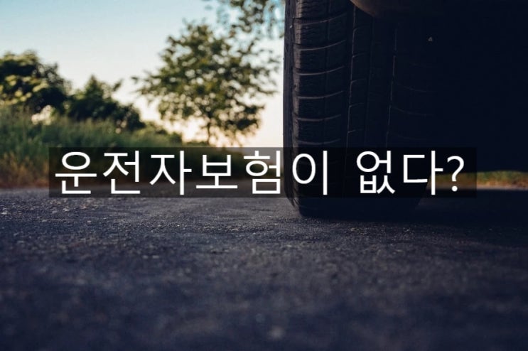  자동차보험 아니고 운전자보험 맞습니다