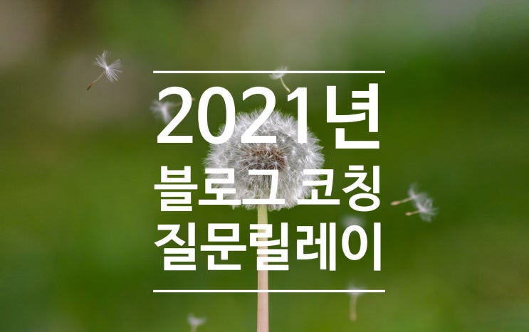  2021년 블로그 코칭 질문 릴레이