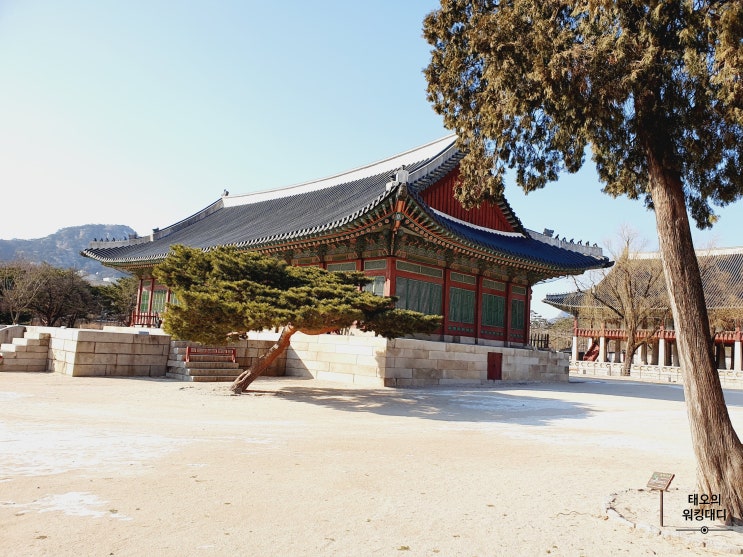 경복궁 나들이 추운 겨울 아들과 함께한 시간 :)