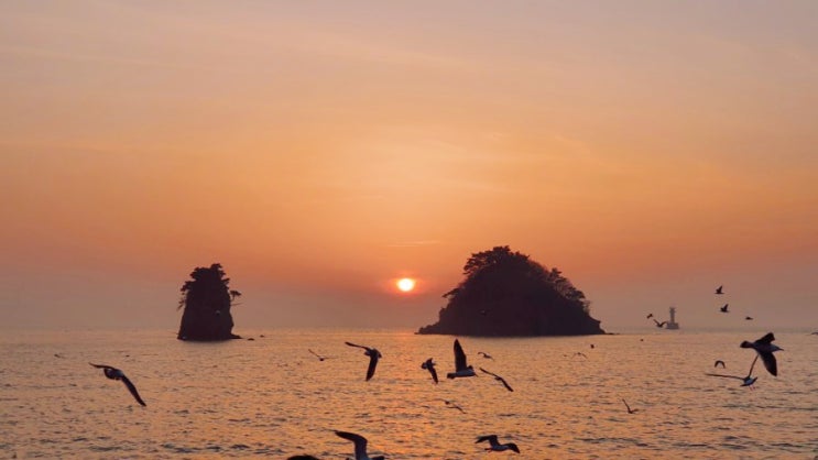  태안당일여행(꽃지해수욕장,신두리해안사구,태안마애삼존불상)