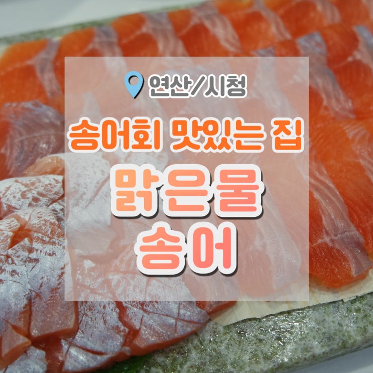  부산송어 파는 곳 , 송어맛집 맑은물송어. 연어와 비슷한듯 다른 별미회