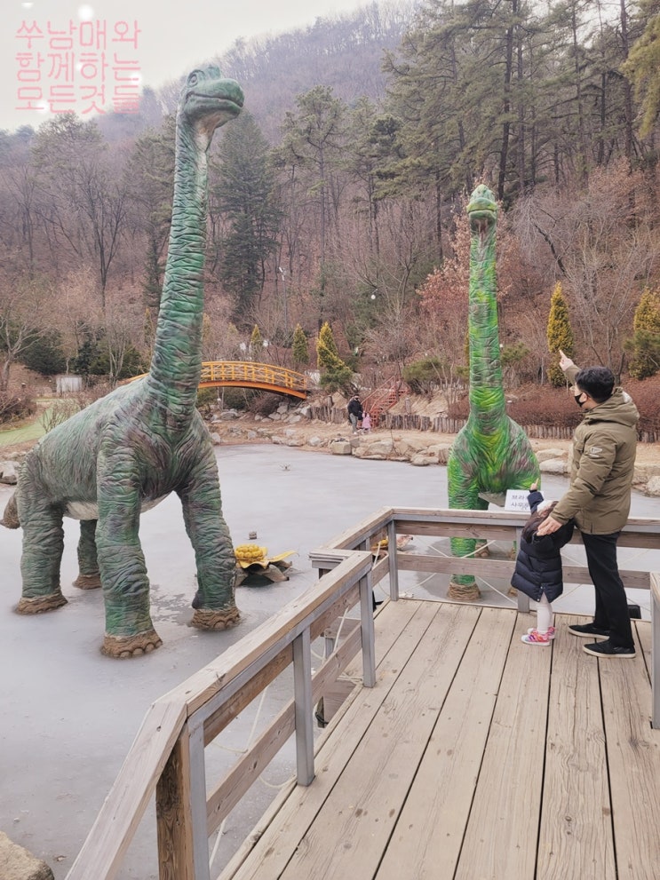  이천 덕평 공룡수목원 아이랑 한번은 가볼만한 곳(동물먹이주기체험)