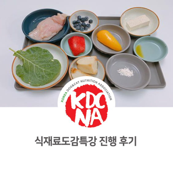  [고양/일산/여수/전주/익산/세종/천안/아산/인천/펫푸드자격증] 한국반려동물영양협회 반려견 식재료도감 온라인 특강(강아지에게 좋은 식재료)_736
