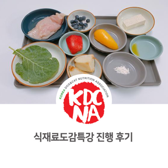 [고양/일산/여수/전주/익산/세종/천안/아산/인천/펫푸드자격증] 한국반려동물영양협회 반려견 식재료도감 온라인 특강(강아지에게 좋은 식재료)_736