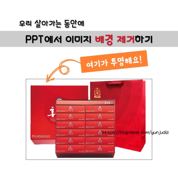 [PPT로 사진 배경 제거] 포토샵 없이 간단하게 사진, 이미지 배경 삭제 하는 방법(feat.누끼따기)