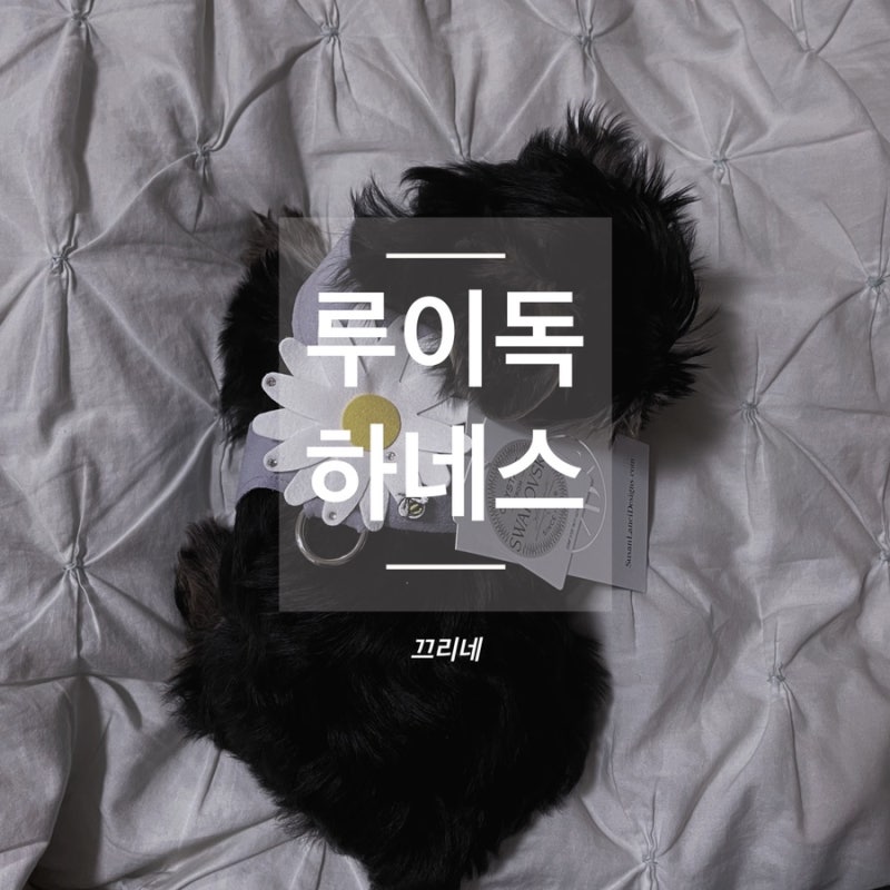 루이독 앤 디자인 수잔랜시 강아지하네스