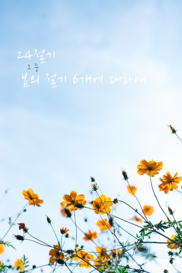  [24절기/24절기란] 그 중 봄의 절기 6개에 대해_입춘, 우수, 경칩, 춘분, 청명, 곡우