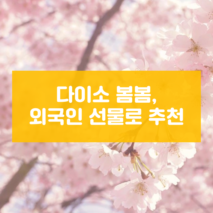  다이소 봄봄, 외국인 선물로 추천