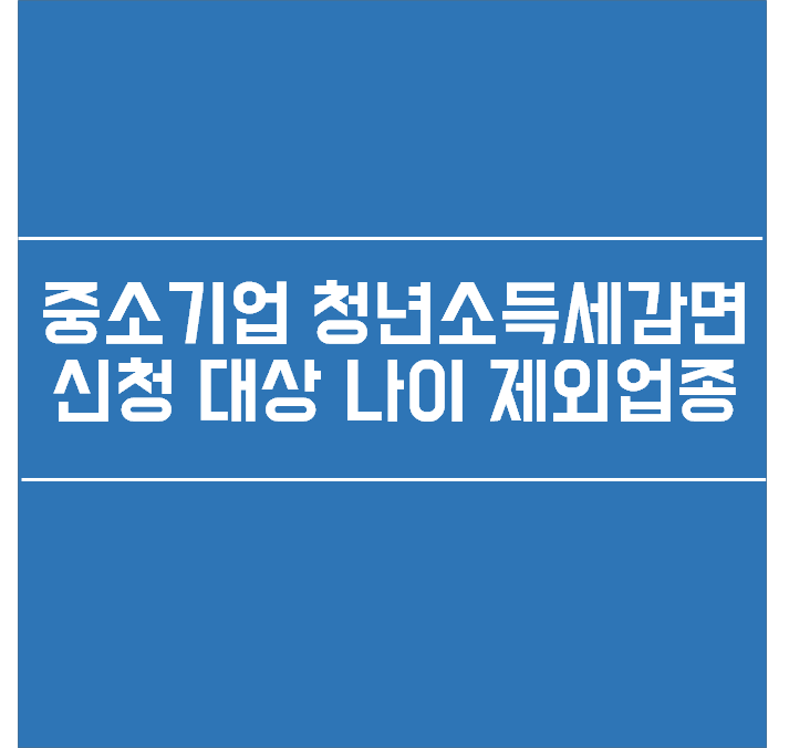  중소기업 청년소득세감면 대상 나이 제외업종