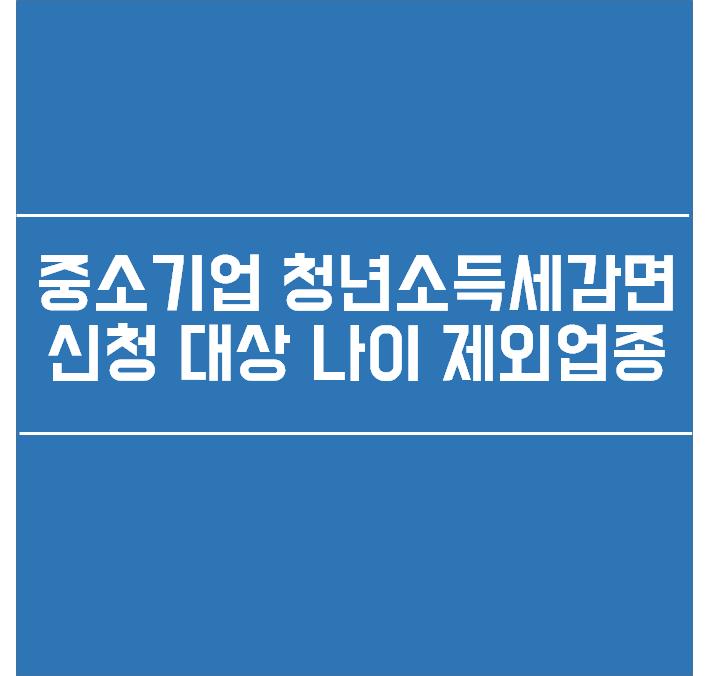 중소기업 청년소득세감면 대상 나이 제외업종