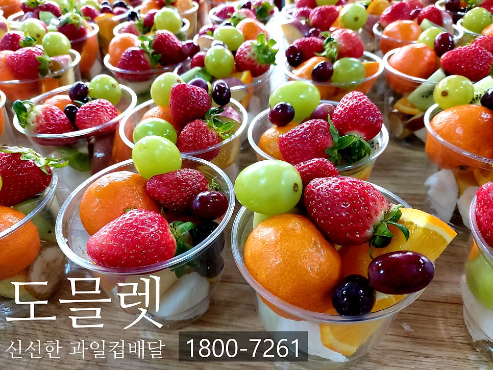 도믈렛 사진 1