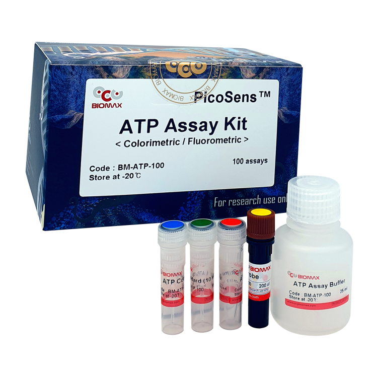 ATP Assay Kit
