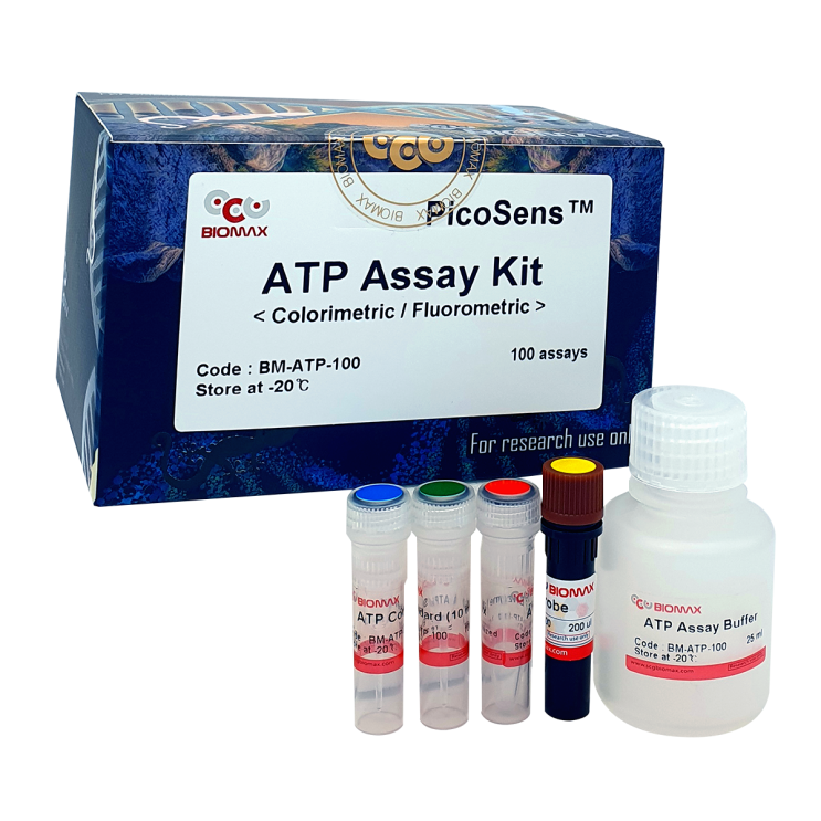  ATP Assay Kit