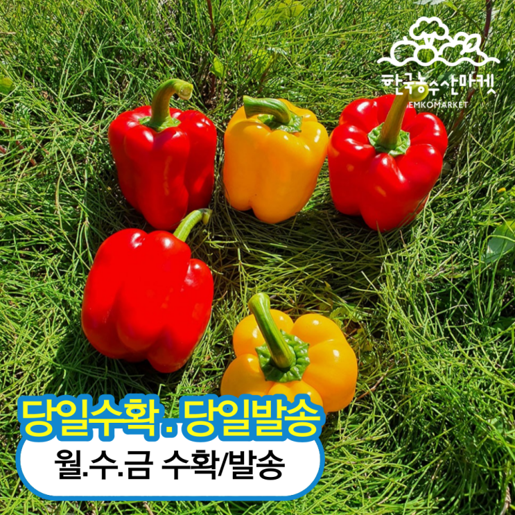 구매평 좋은 한농 농장 산지직송 프리미엄 파프리카, 1box, 프리미엄 파프리카 2.5kg 추천해요