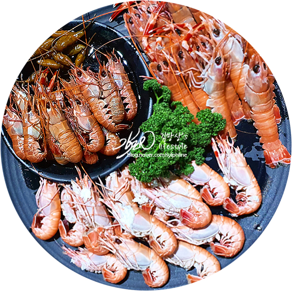 딱새우 존맛 제주횟집 딱새우 존맛 제주횟집