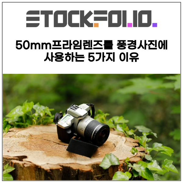  50mm프라임렌즈를 풍경사진에 사용하는 5가지 이유