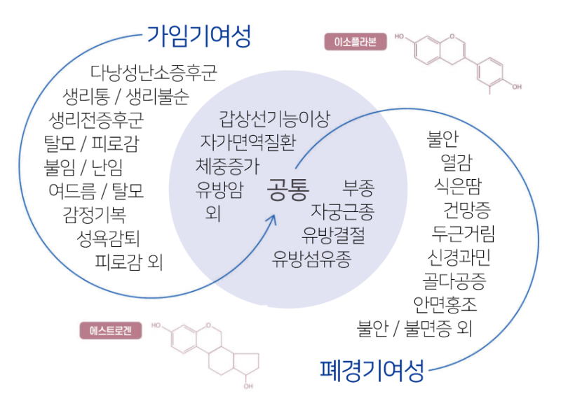 (에스트로겐우세증과 생리통,생리전증후군,폐경기와의 관계) 나이에 상관없이 호르몬불균형에 노출되어 있다면?