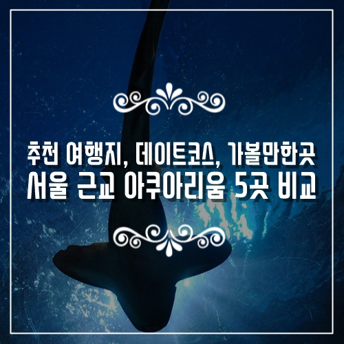  추천 국내여행지, 데이트코스, 가볼만한곳 서울 근교 아쿠아리움 5곳 비교