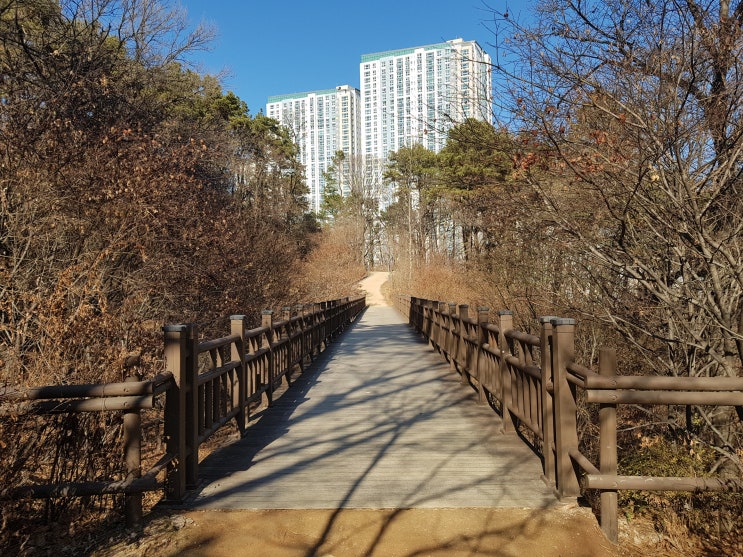 [수원 여우길] 여우길이 시작되는 곳, 광교 사색공원을 걷다
