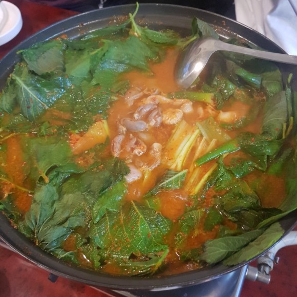  [서울 송파구] 풍납닭내장탕 : 맛있는녀석들 출연한 풍납동 맛집