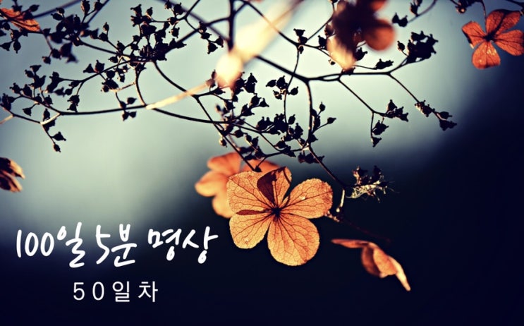 아직 절반밖에... 아니 벌써 절반이나!!