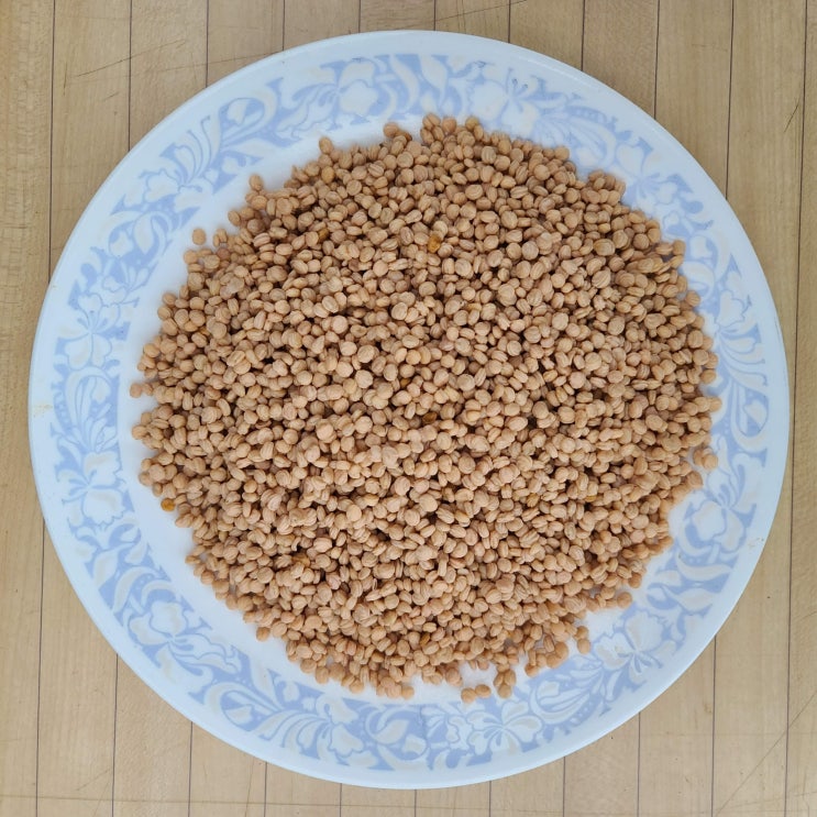 당신만 모르는 산애들농장(주) 장뇌삼 산양삼 재배용 인삼씨앗 100g 500g 1kg, 인삼씨앗 개갑씨 천풍 500g 추천합니다 당신만 모르는 산애들농장(주) 장뇌삼 산양삼 재배용 인삼씨앗 100g 500g 1kg, 인삼씨앗 개갑씨 천풍 500g 추천합니다