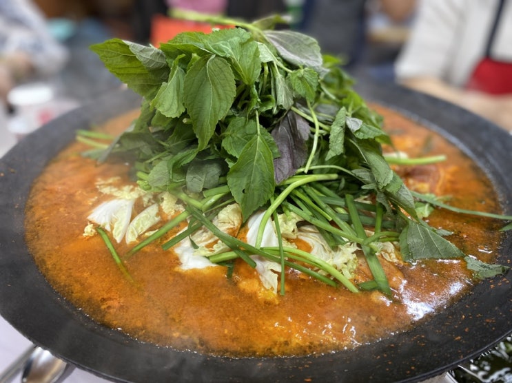  태백 태백닭갈비 - 니 이런 닭갈비 먹어 봤나?