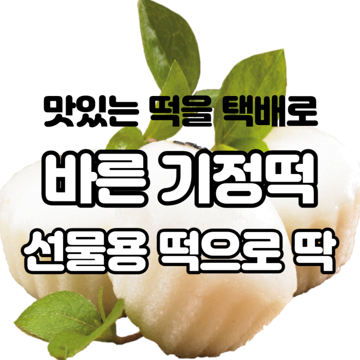  바른기정떡 맛있게 먹는 법 알려드려요 선물용 떡을 택배로 받아보세요 다이어트에도 딱
