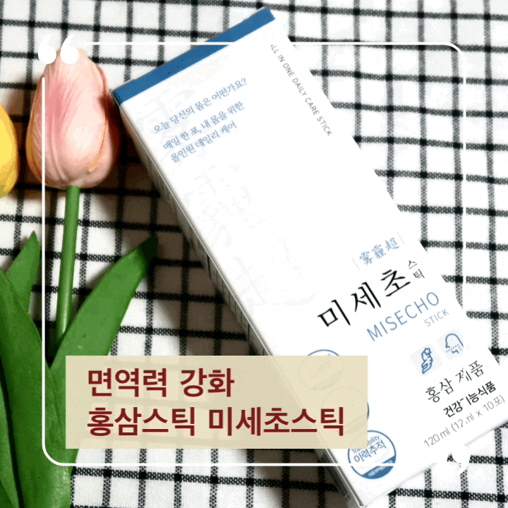  미세초스틱 홍삼스틱 하루 한포로 면역력강화까지