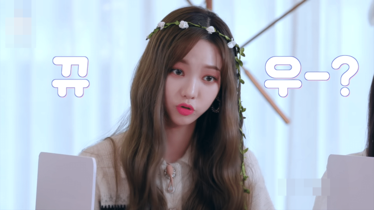  에스파를 한번도 만나보지 못한 팬클럽 마이